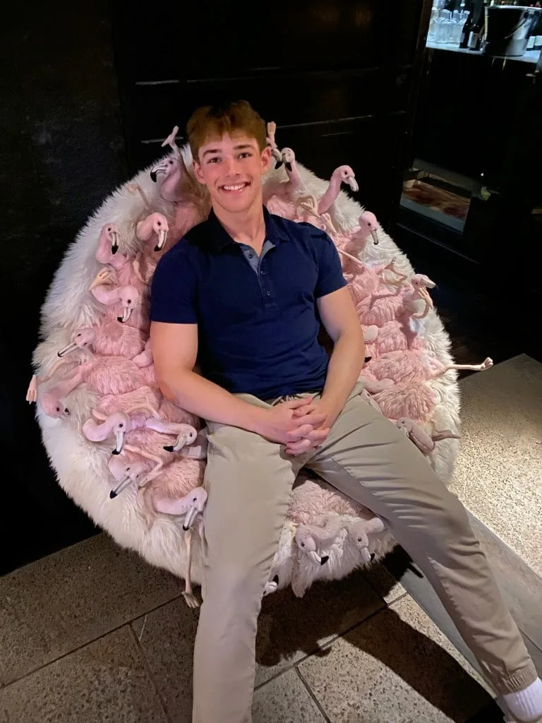 Temporary stand-in photograph (a flamingo chair). Replace with a figure from the work.